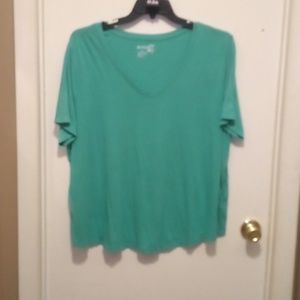 Terra & Sky Green Short Sleeve T-Shirt - Size 2X